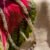 grenat