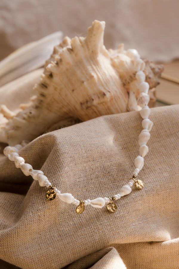 collier coquillage