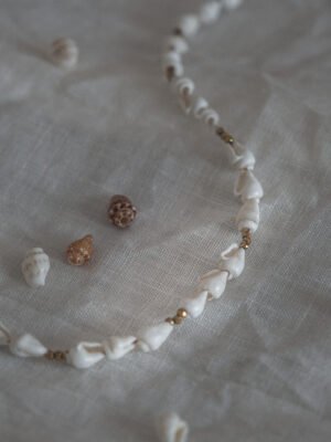 bracelet de cheville coquillage (3) bracelet de cheville été coquillage blanc