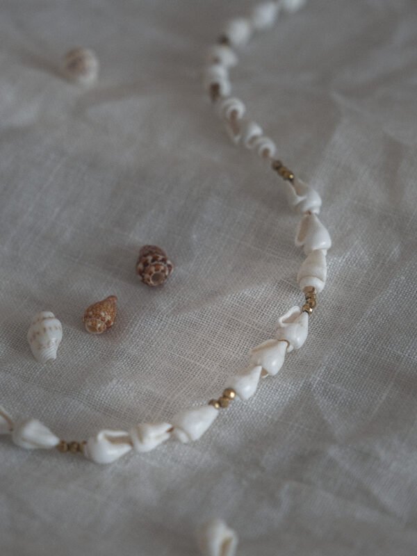 bracelet de cheville été coquillage blanc